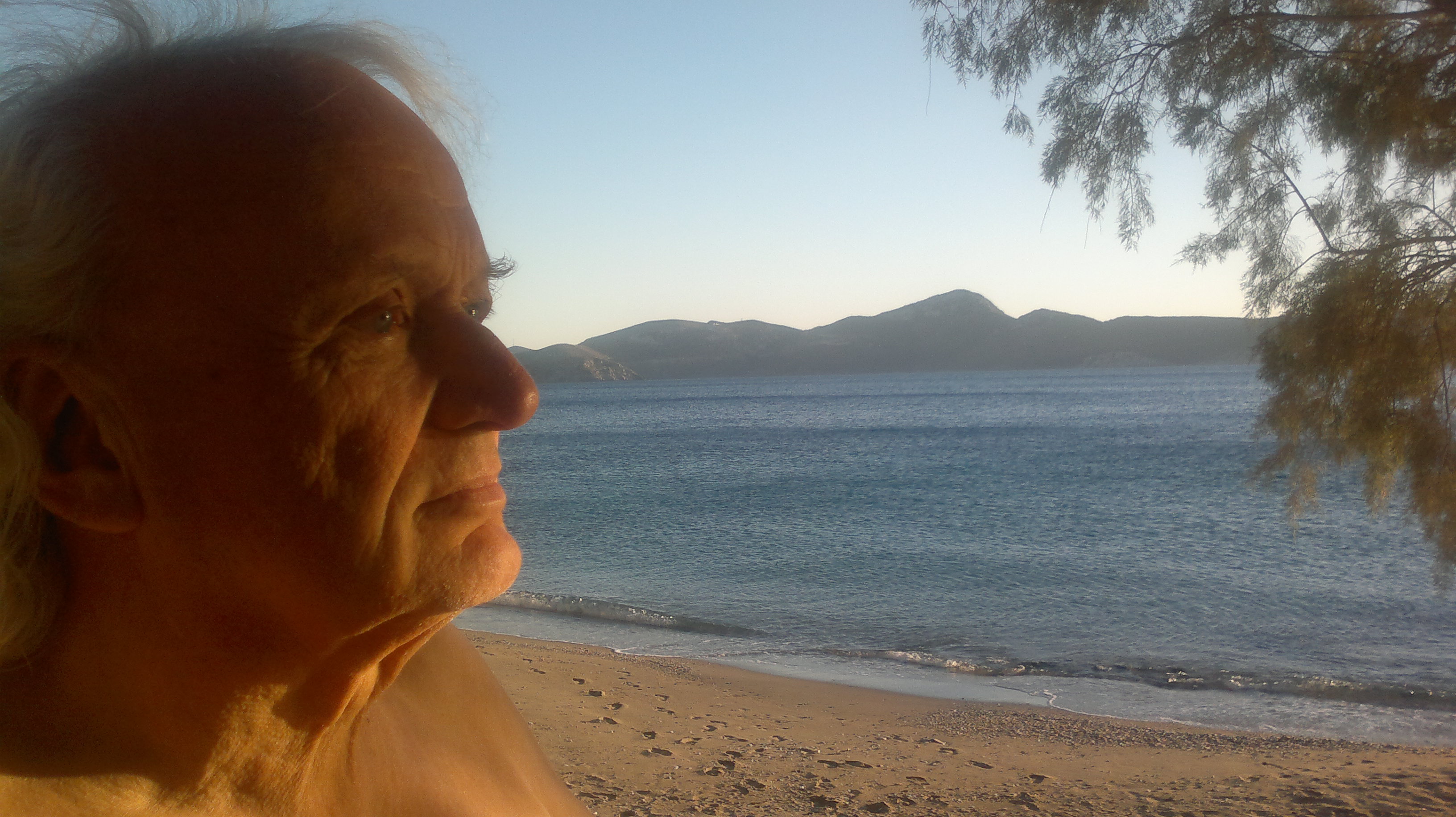 Hiller schreibt in Griechenland an DAVID Wilfried Hiller Ein